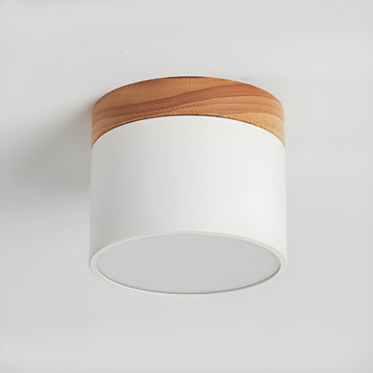 Ember Cylinder Ceiling Light