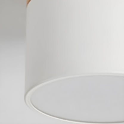 Ember Cylinder Ceiling Light