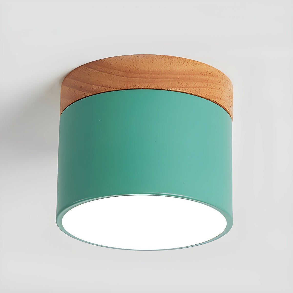 Ember Cylinder Ceiling Light