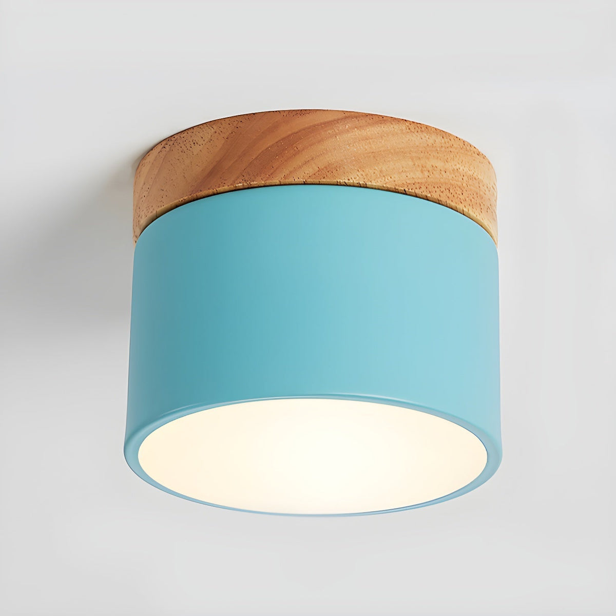 Ember Cylinder Ceiling Light