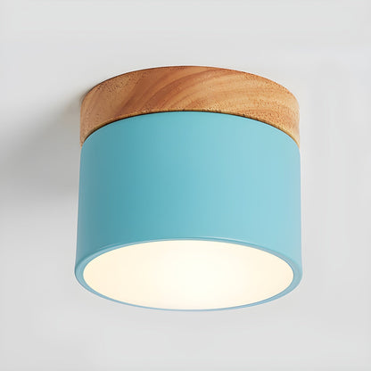 Ember Cylinder Ceiling Light