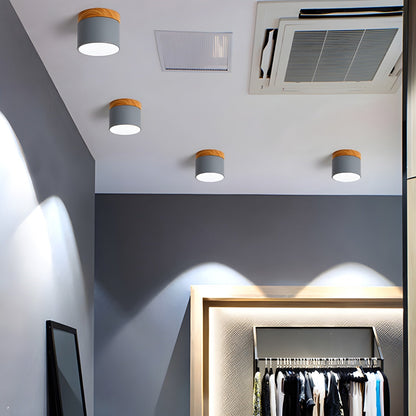Ember Cylinder Ceiling Light