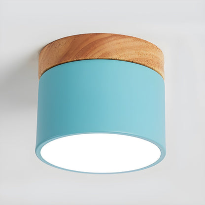 Ember Cylinder Ceiling Light