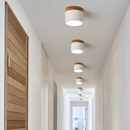 Ember Cylinder Ceiling Light