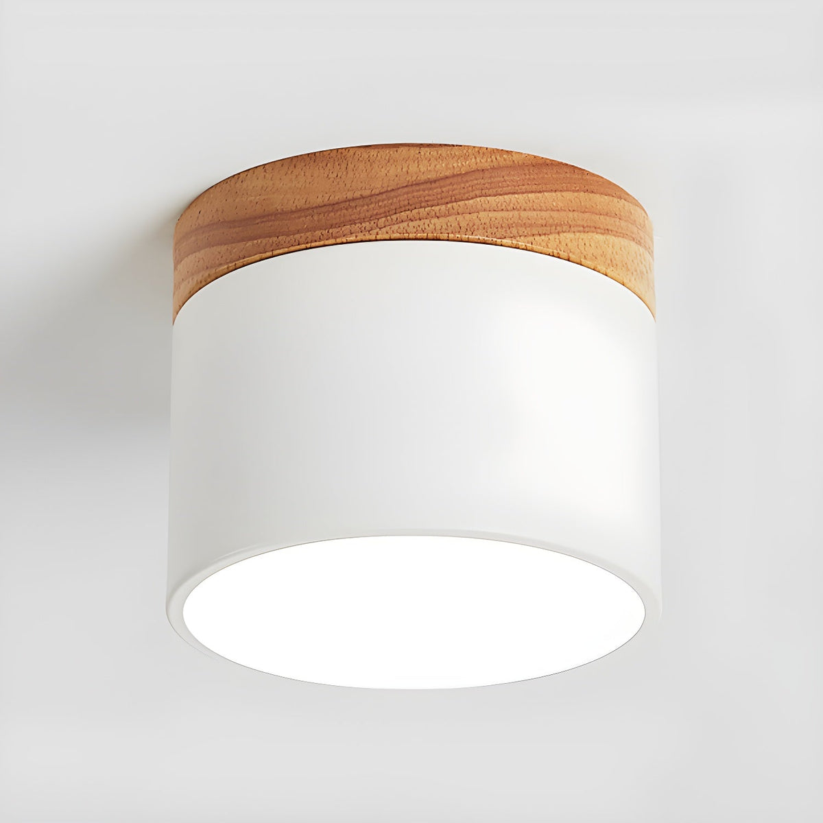 Ember Cylinder Ceiling Light