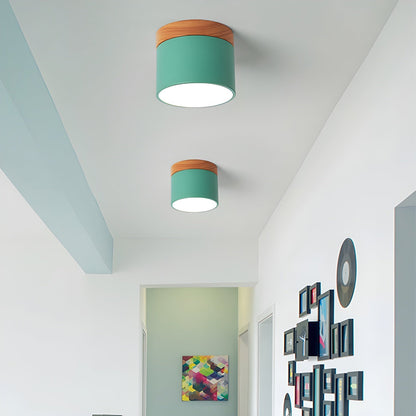 Ember Cylinder Ceiling Light