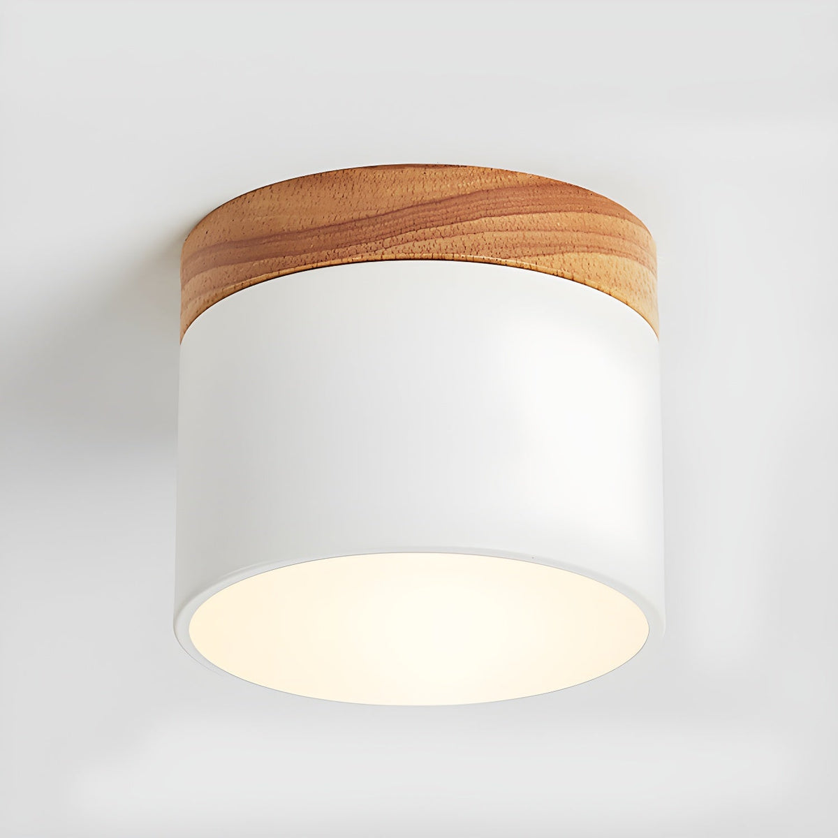 Ember Cylinder Ceiling Light