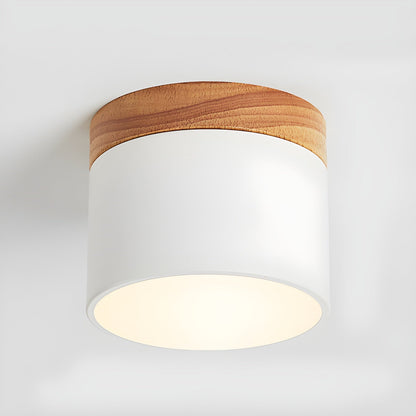 Ember Cylinder Ceiling Light