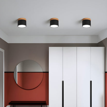 Ember Cylinder Ceiling Light