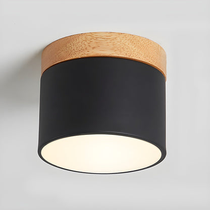 Ember Cylinder Ceiling Light