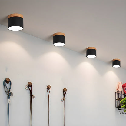 Ember Cylinder Ceiling Light