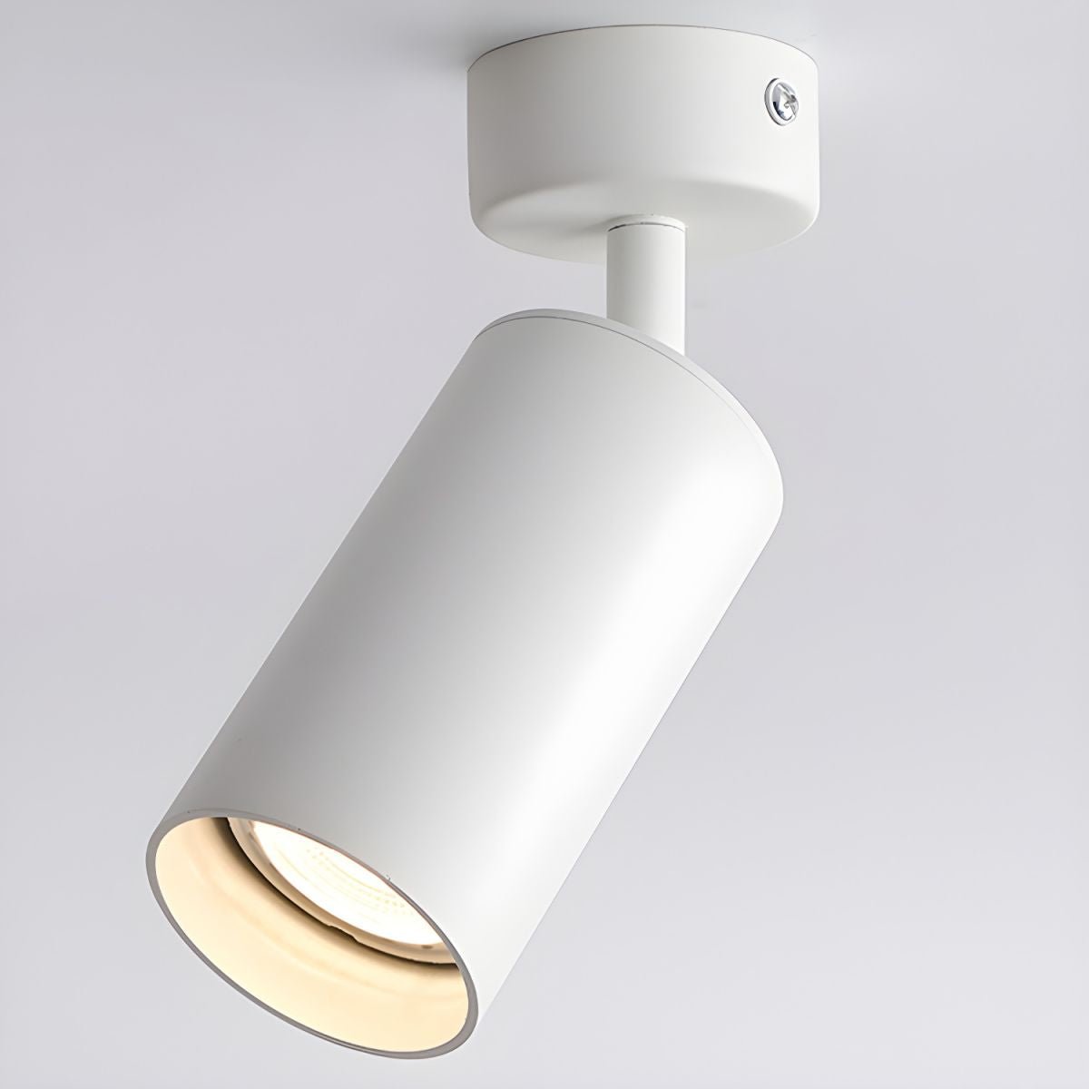 Fine Pivot Ceiling Light