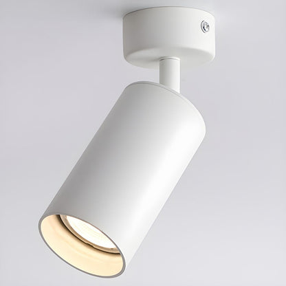 Fine Pivot Ceiling Light