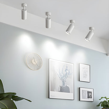Fine Pivot Ceiling Light