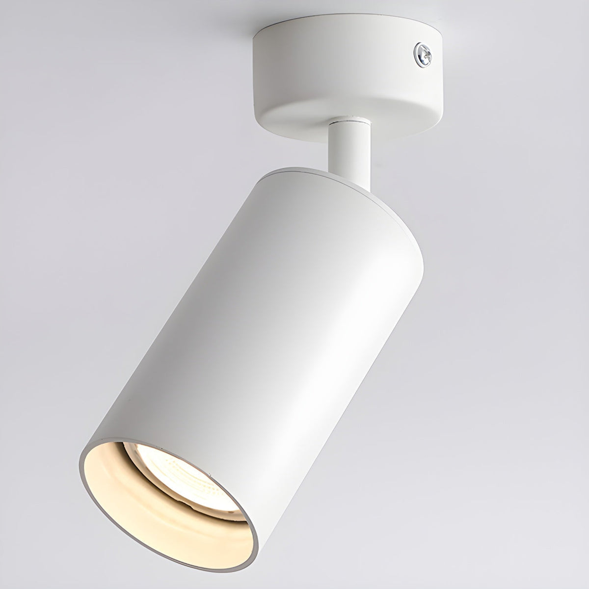 Fine Pivot Ceiling Light