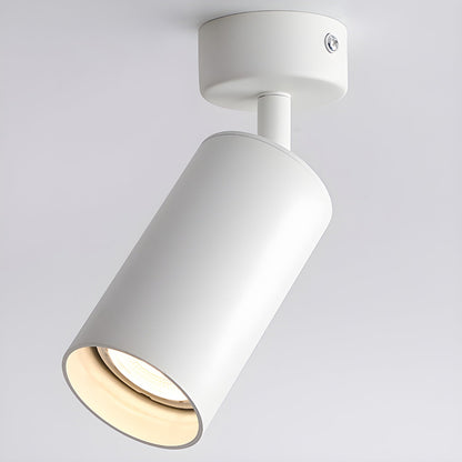 Fine Pivot Ceiling Light
