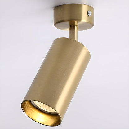 Fine Pivot Ceiling Light