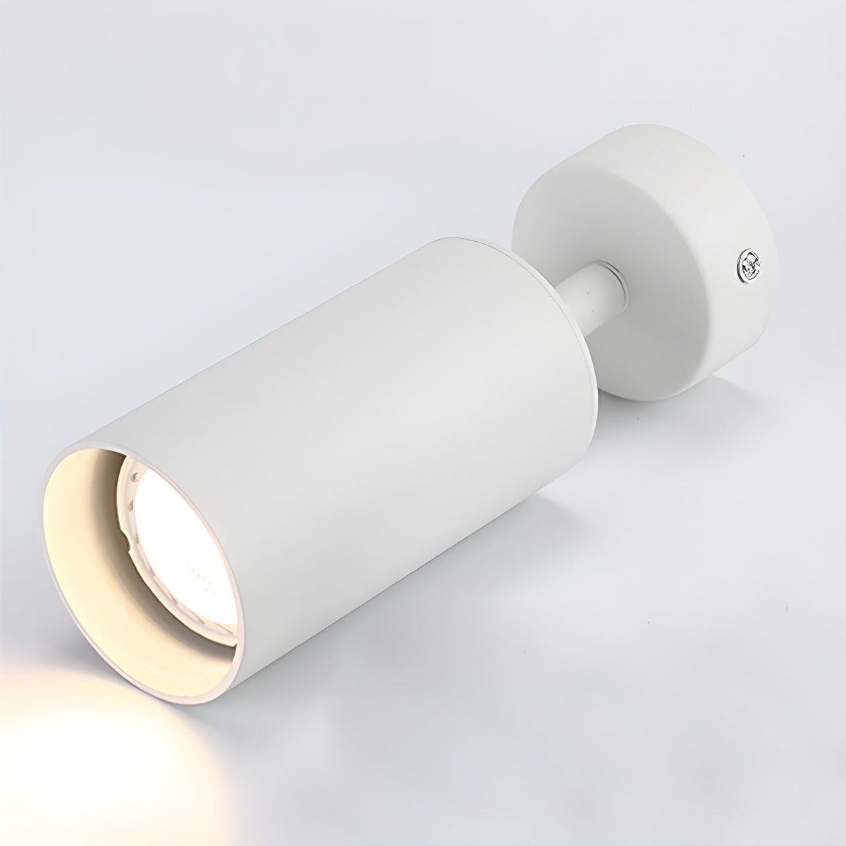 Fine Pivot Ceiling Light