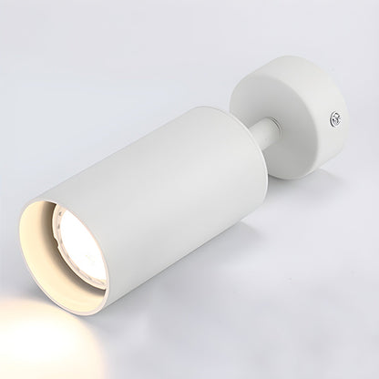 Fine Pivot Ceiling Light