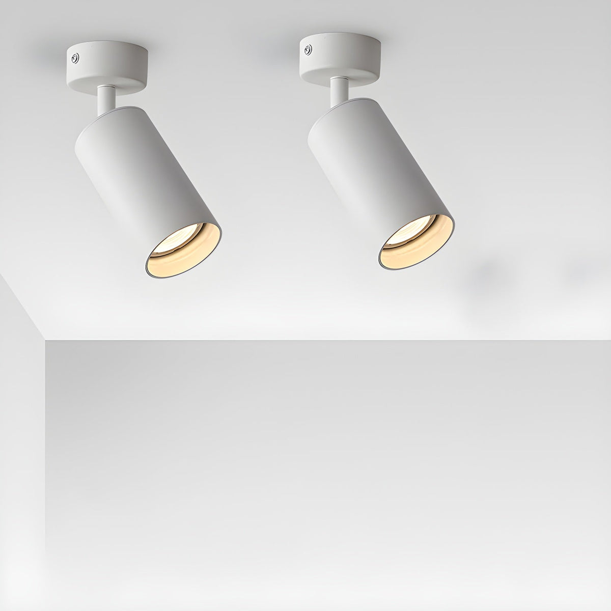 Fine Pivot Ceiling Light