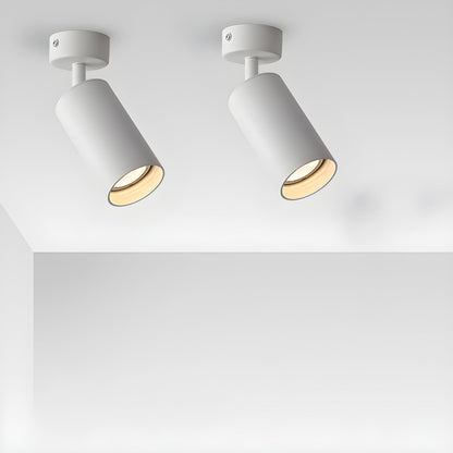 Fine Pivot Ceiling Light