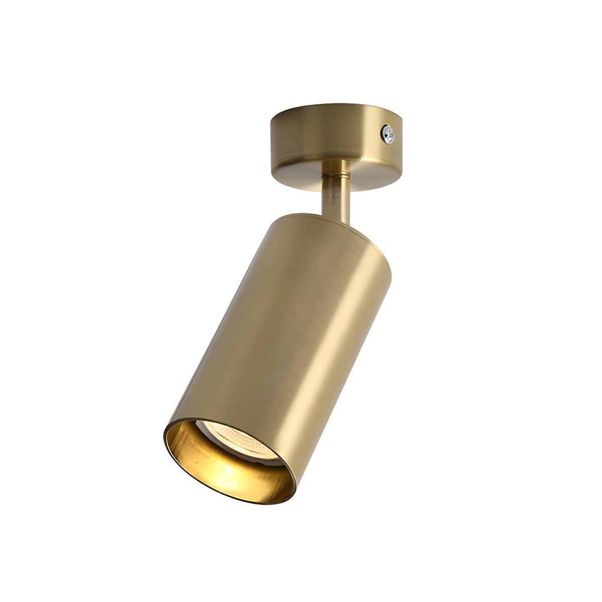 Fine Pivot Ceiling Light
