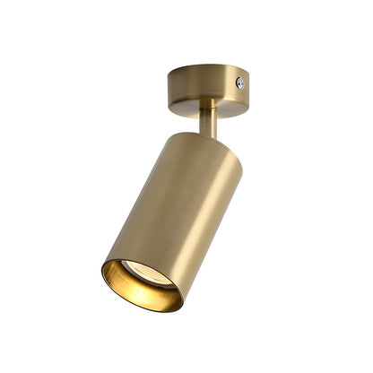 Fine Pivot Ceiling Light