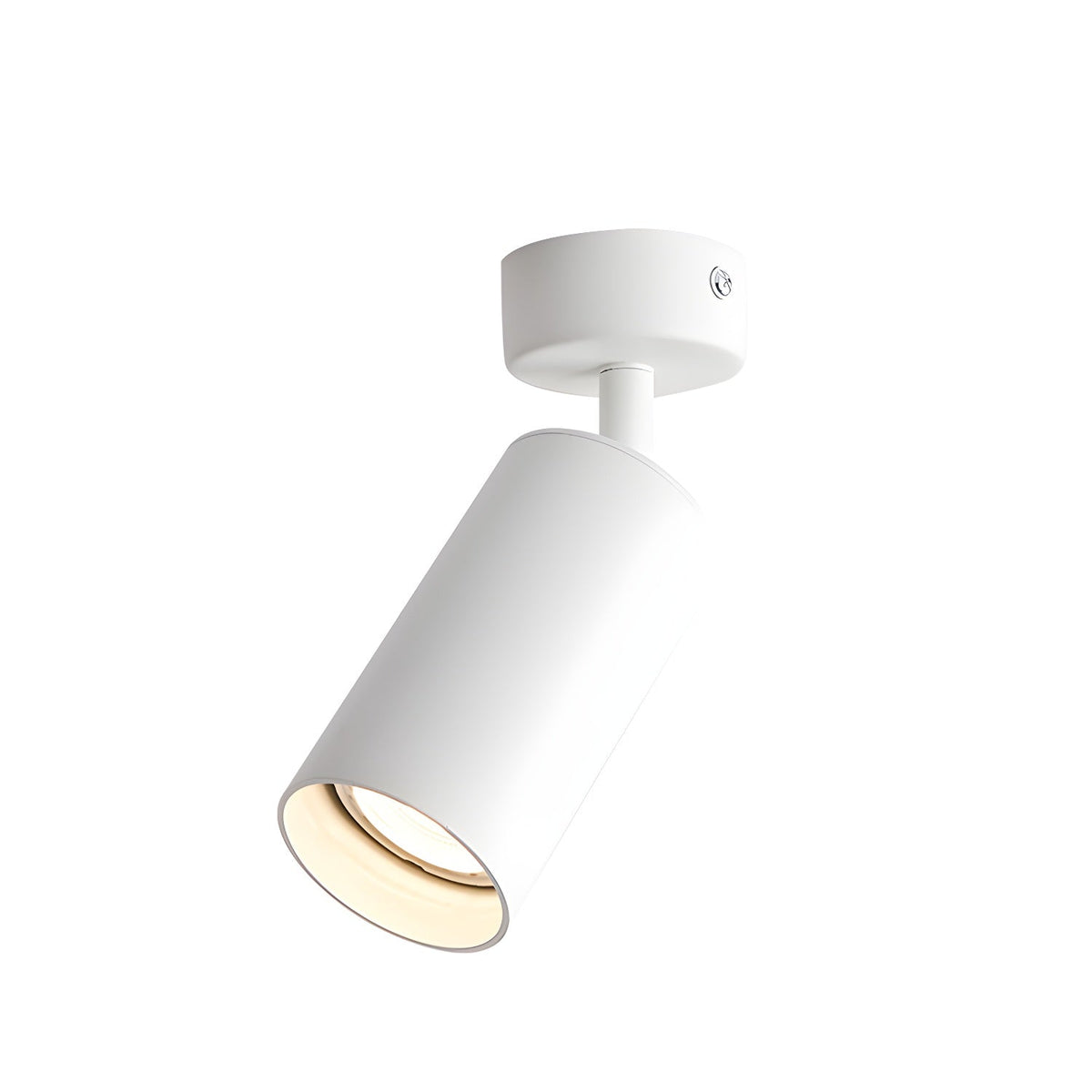 Fine Pivot Ceiling Light