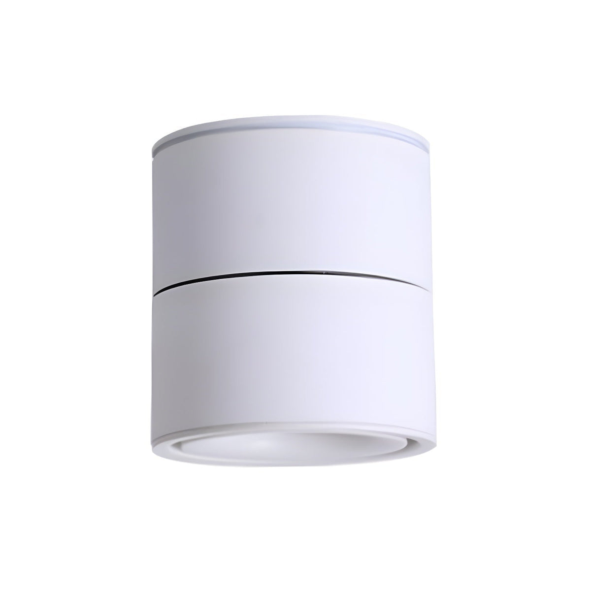 Fine Surface Ceiling Light