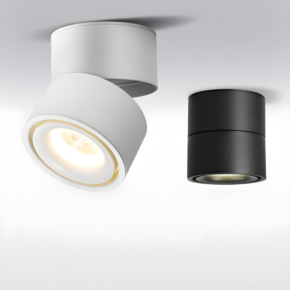 Fine Surface Ceiling Light