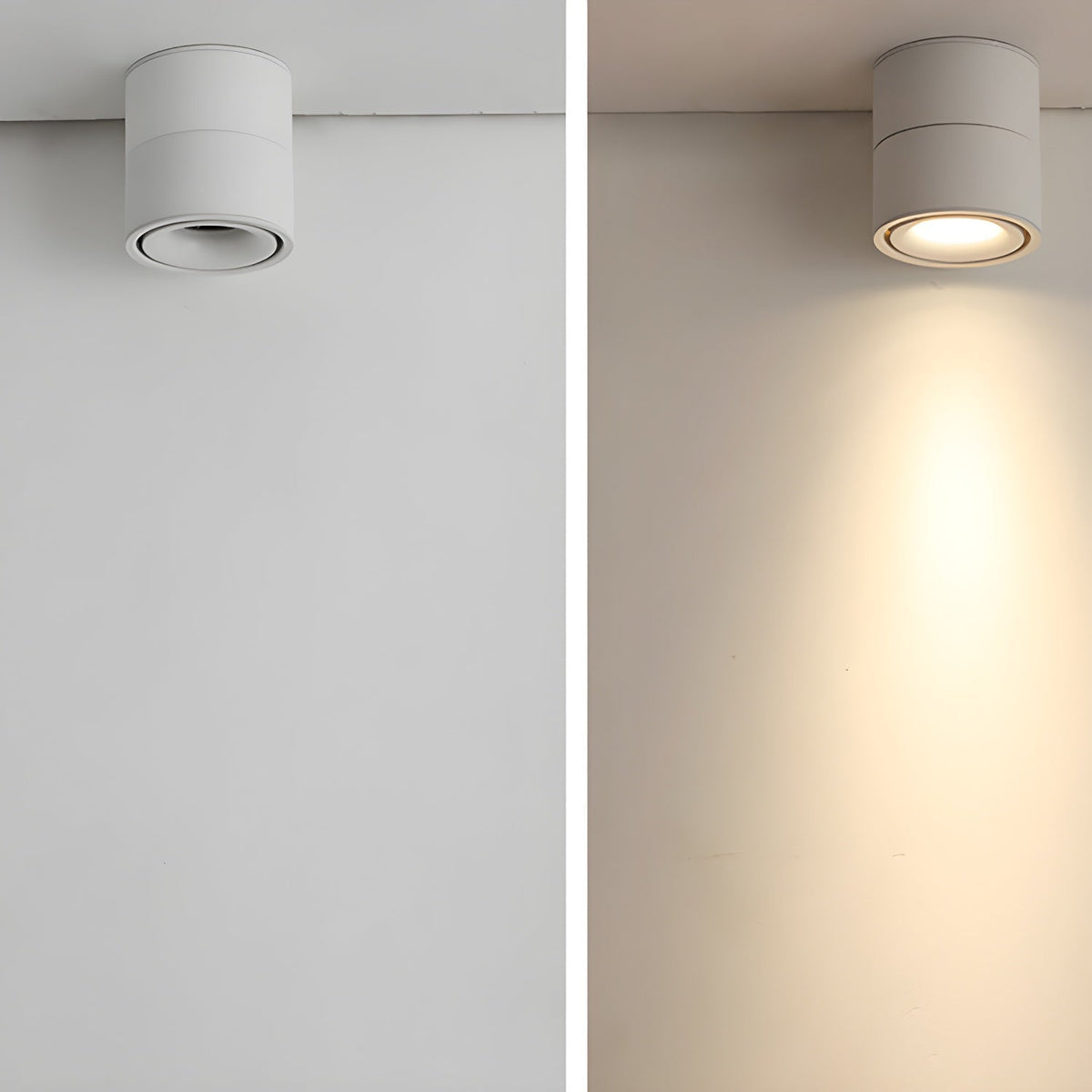 Fine Surface Ceiling Light