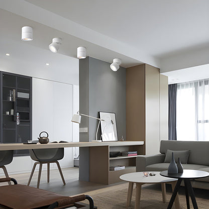 Fine Surface Ceiling Light