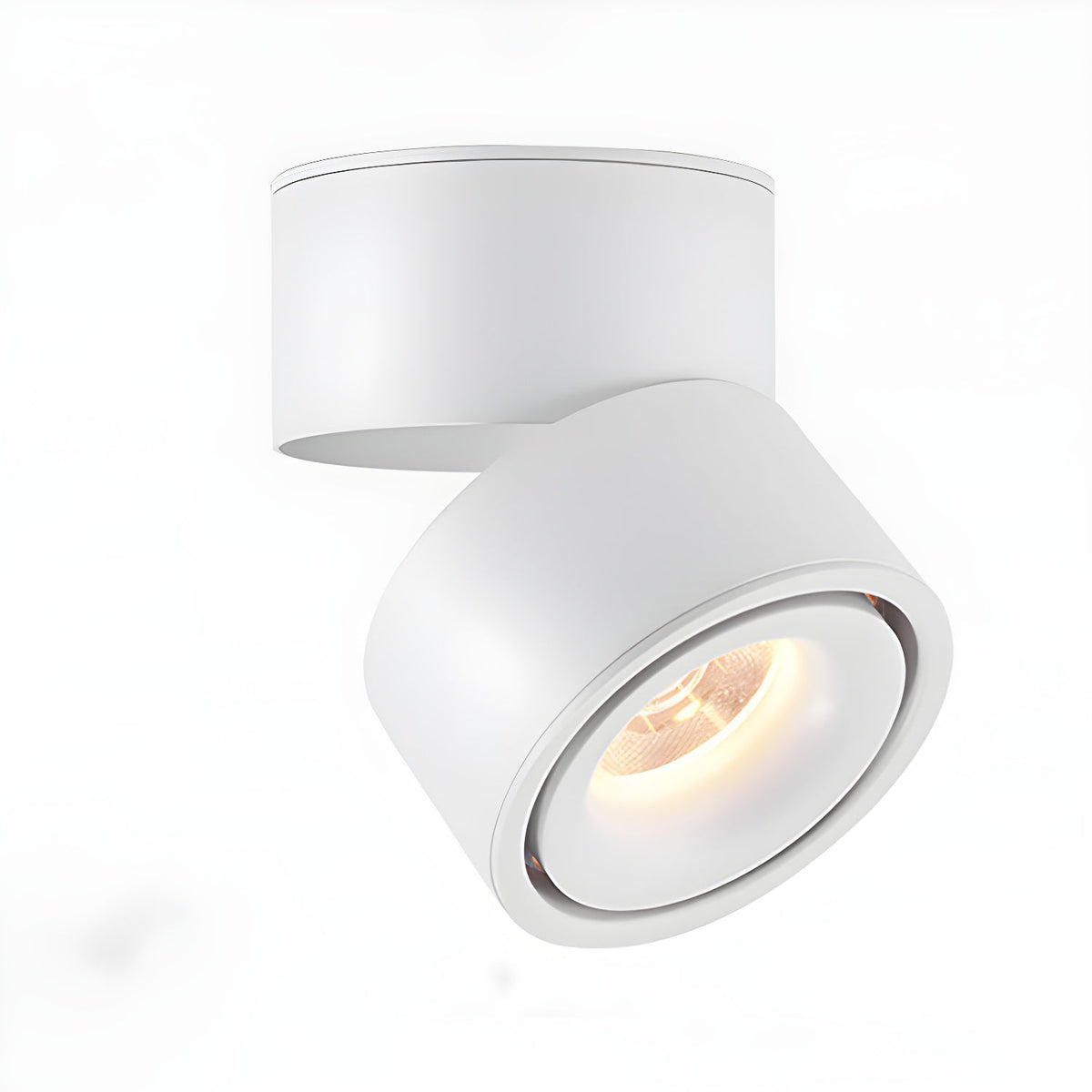 Fine Surface Ceiling Light