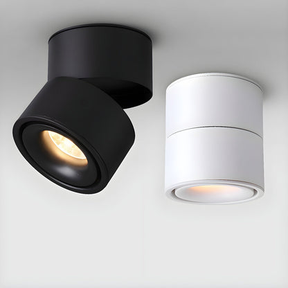 Fine Surface Ceiling Light