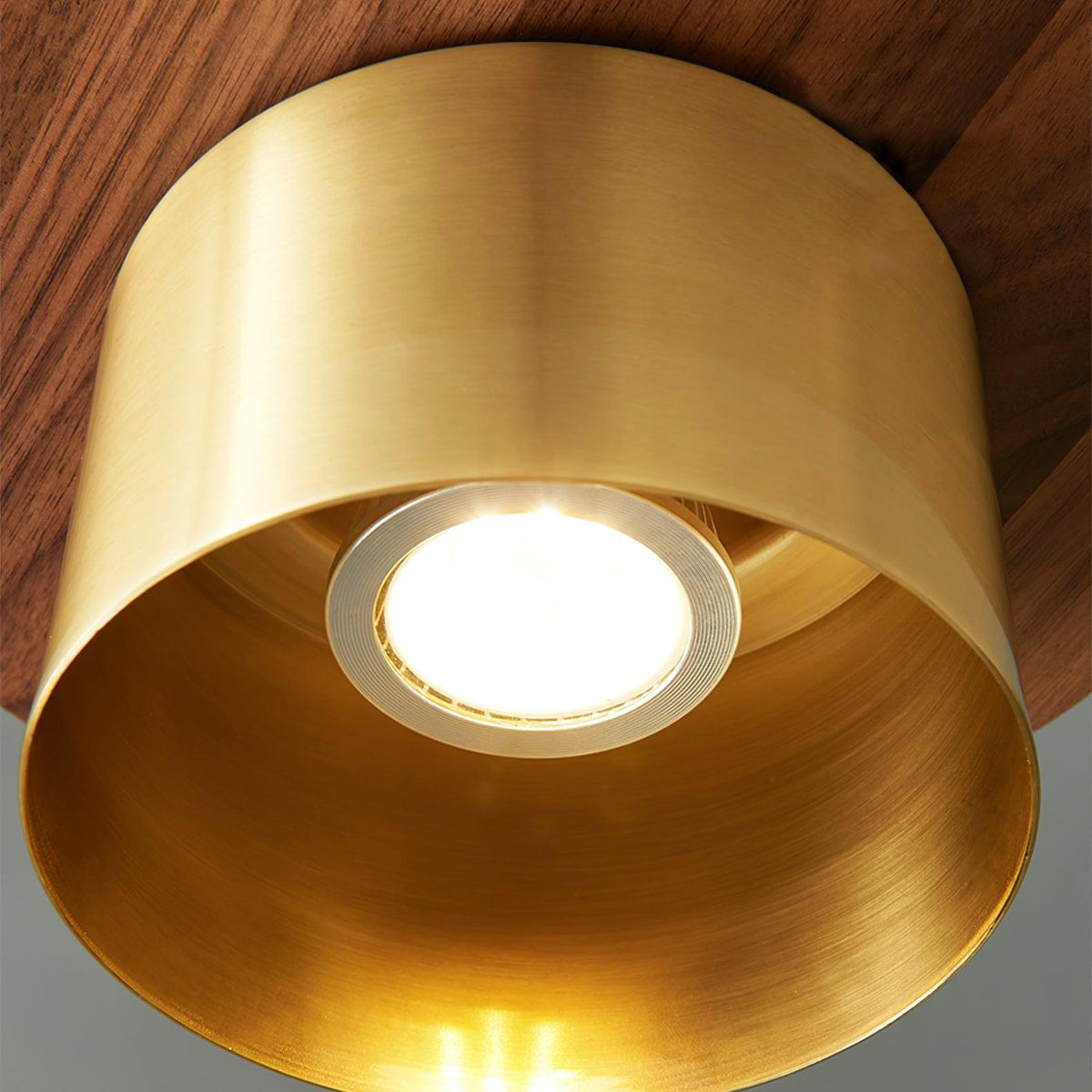 Crown Timber Pendant Light