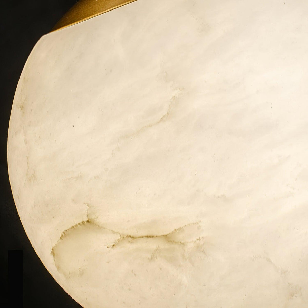 Vein Orb Pendant Light