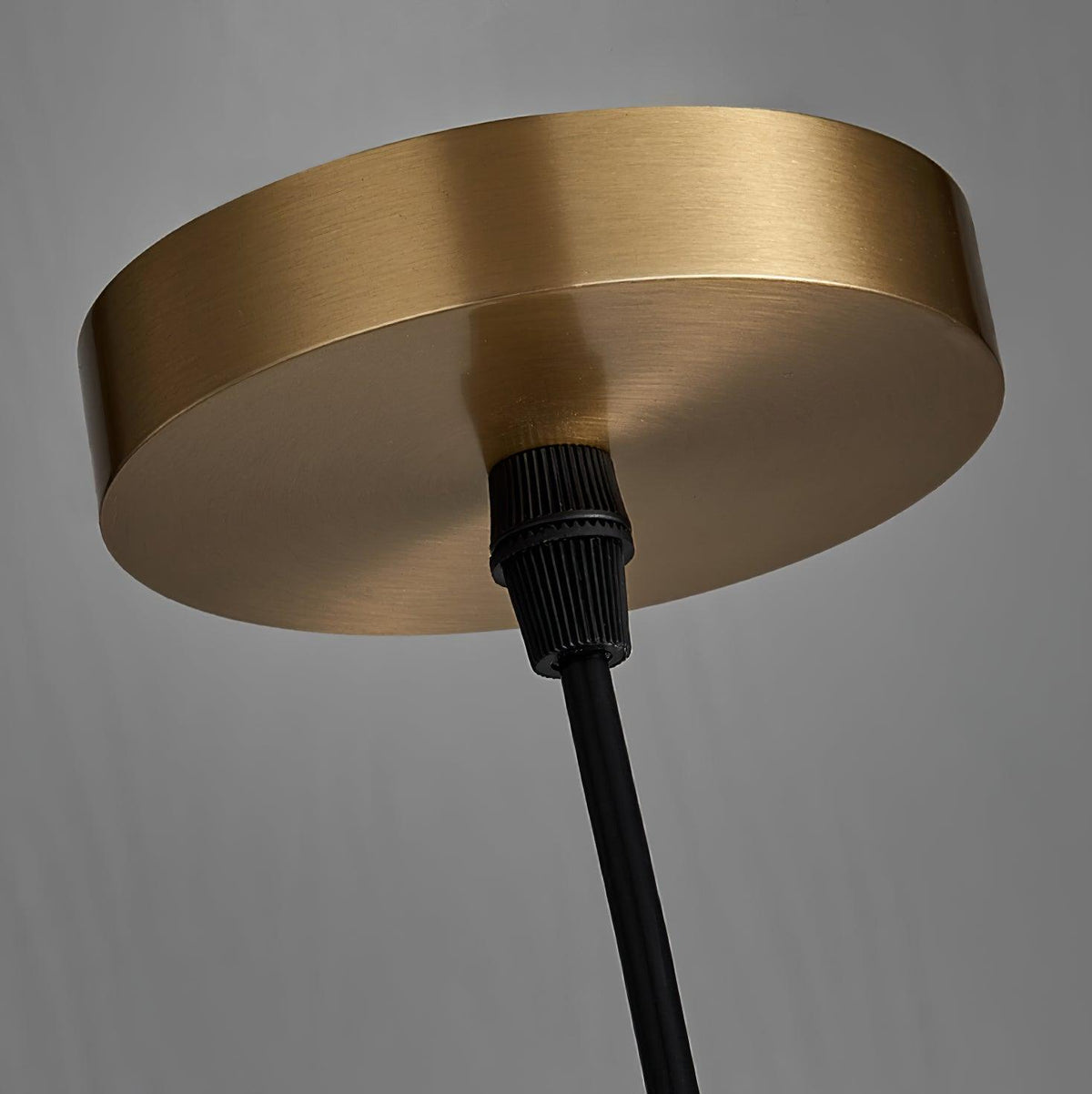 Vein Canopy Pendant Light