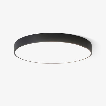 Still Flush Ceiling Light
