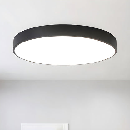 Still Flush Ceiling Light