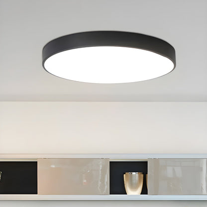 Still Flush Ceiling Light