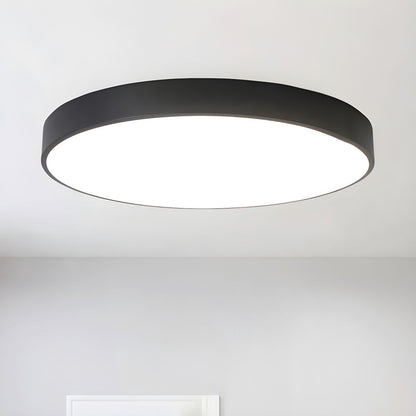 Still Flush Ceiling Light