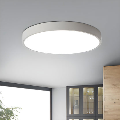 Still Flush Ceiling Light