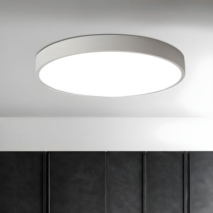 Still Flush Ceiling Light