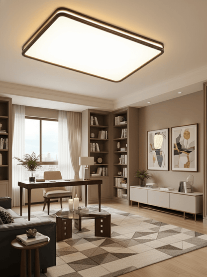 Double Rim Ceiling Light