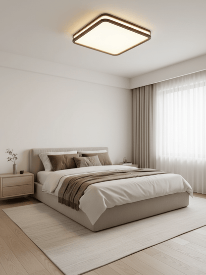 Double Rim Ceiling Light
