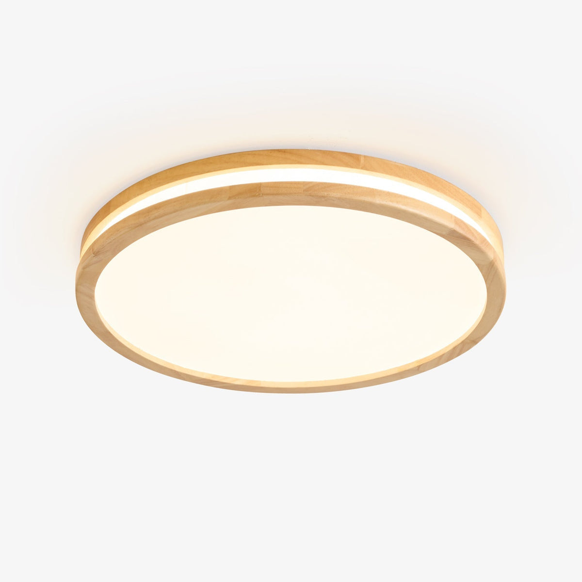Double Rim Ceiling Light