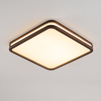 Double Rim Ceiling Light