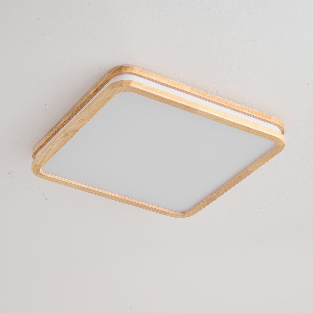 Double Rim Ceiling Light