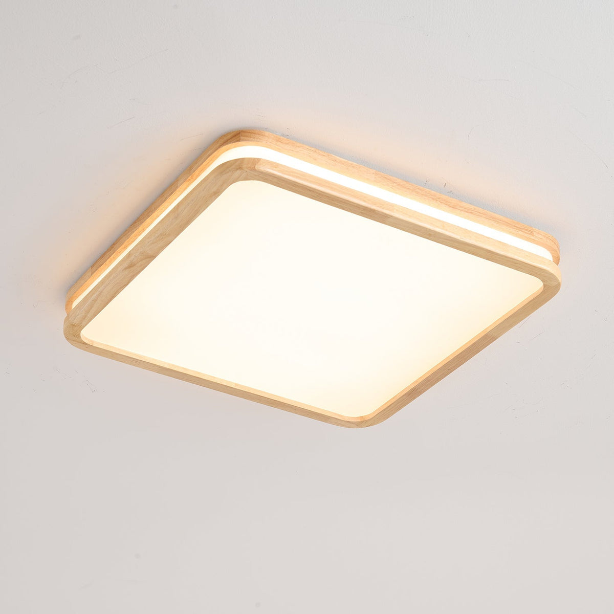 Double Rim Ceiling Light