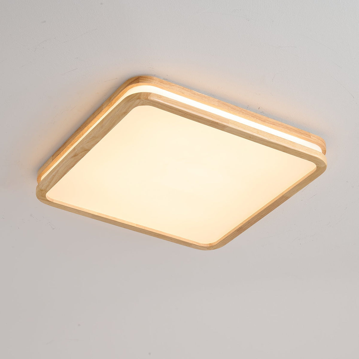 Double Rim Ceiling Light